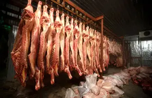 قیمت گوشت قرمز، امروز دوشنبه ۳۱ اردیبهشت ۱۴۰۳