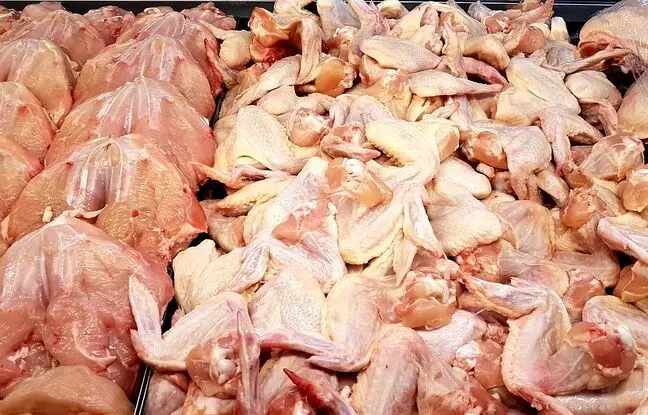 قیمت گوشت مرغ، امروز سه شنبه ۱ خرداد ۱۴۰۳