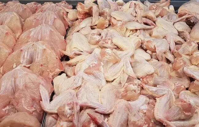 قیمت گوشت مرغ، امروز سه شنبه ۱ خرداد ۱۴۰۳