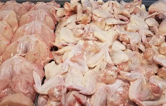 قیمت گوشت مرغ، امروز سه شنبه ۱ خرداد ۱۴۰۳
