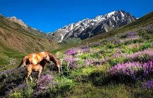 5 روستای زیبای لرستان و 5 تکه از بهشت که باید ببینیم