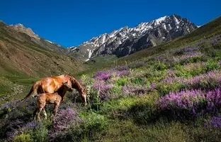 5 روستای زیبای لرستان و 5 تکه از بهشت که باید ببینیم