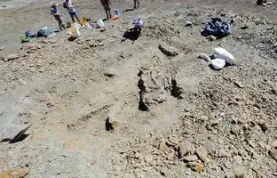 (تصویر) خنده‌دارترین دایناسور جهان کشف شد؛ هیولایی با دست‌های عروسکی!