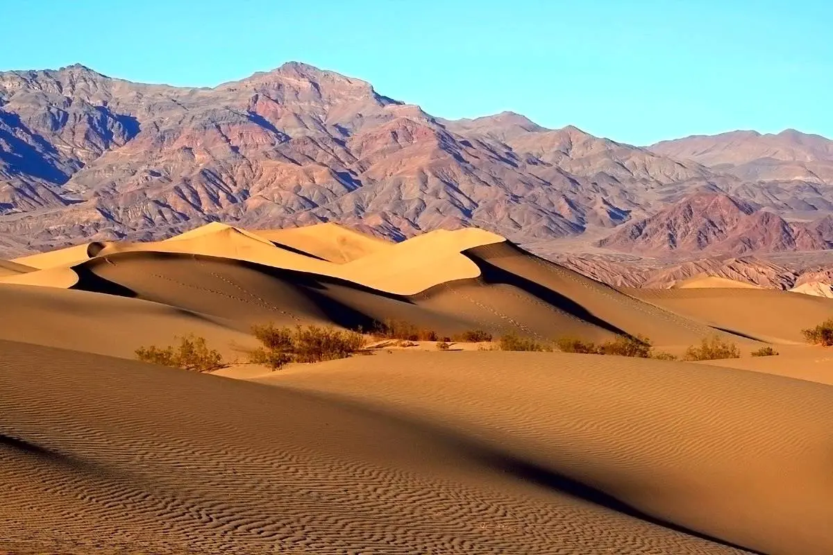 (ویدئو) چینی ها چطور صحرای مغولستان را به جنگل بدل کردند؟