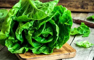 ۹ خاصیت شگفت‌انگیز کاهو