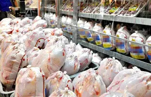 قیمت گوشت مرغ، امروز شنبه ۲۶ خرداد ۱۴۰۳