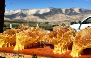 (ویدئو) زنبوردار شجاع در جدالی نفس‌گیر با زنبورها و ارتفاع!