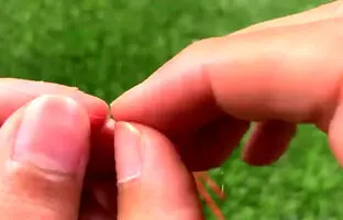 (ویدئو) روشی جالب و آسان برای سوزن نخ کردن