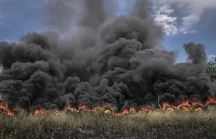 (ویدئو) ناله های جانگداز حیوانات در آتش زاگرس تصاویری که قلب را به درد می‌آورد