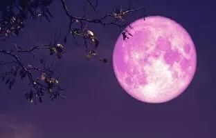 ماه کامل توت فرنگی به زودی طلوع می‌کند