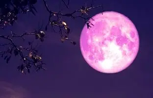 ماه کامل توت فرنگی به زودی طلوع می‌کند