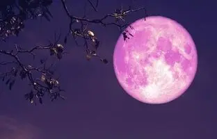 ماه کامل توت فرنگی به زودی طلوع می‌کند