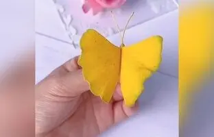 (ویدئو) کاردستی آسان برای کودکان: ساخت پروانه با برگ
