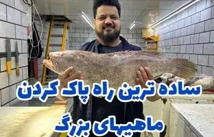 (ویدئو) با این روش ساده پوست ماهی رو راحت بگیر و برش بزن!