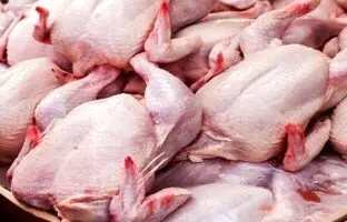 قیمت گوشت مرغ، امروز شنبه ۹ تیر ۱۴۰۳