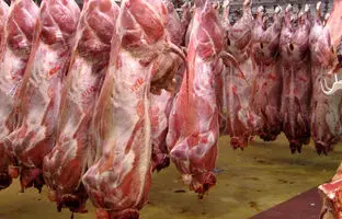 قیمت گوشت قرمز، امروز شنبه ۹ تیر ۱۴۰۳