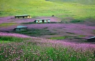 خنکای تابستان در دل جنگل های گیلان: گشت و گذار در روستاهای بلوبری!