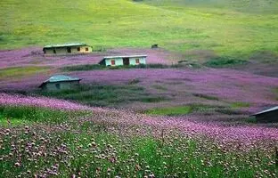 خنکای تابستان در دل جنگل های گیلان: گشت و گذار در روستاهای بلوبری!