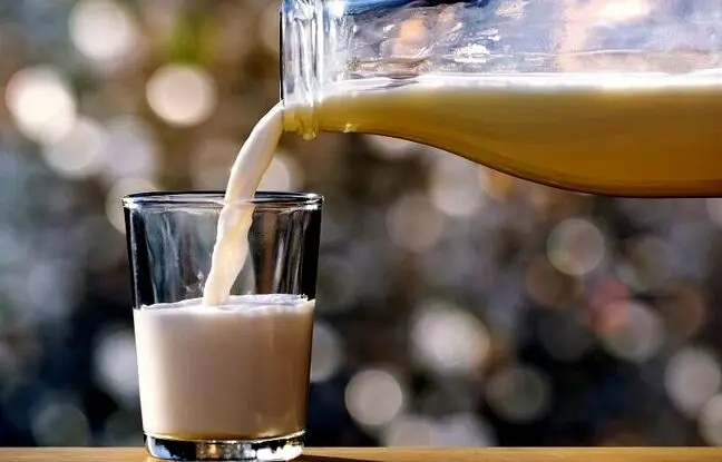 ۸ دلیل برای نوشیدن یک لیوان شیر در روز: معجزه‌ای برای سلامتی شما!