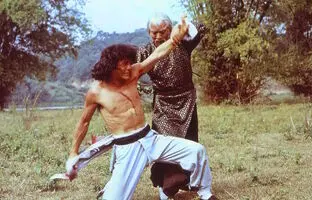۱۰ فیلم رزمی دیدنی اما گمنامی که باید ببینید؛ از Fearless Hyena تا Avenging Eagle