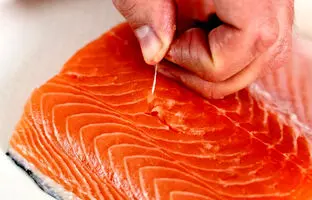 (ویدئو) سالمون تقلبی را چگونه بشناسیم؟