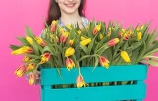راز شادابی لاله‌هایتان در خانه: راهنمای جامع نگهداری گل لاله