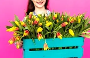 راز شادابی لاله‌هایتان در خانه: راهنمای جامع نگهداری گل لاله
