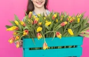 راز شادابی لاله‌هایتان در خانه: راهنمای جامع نگهداری گل لاله