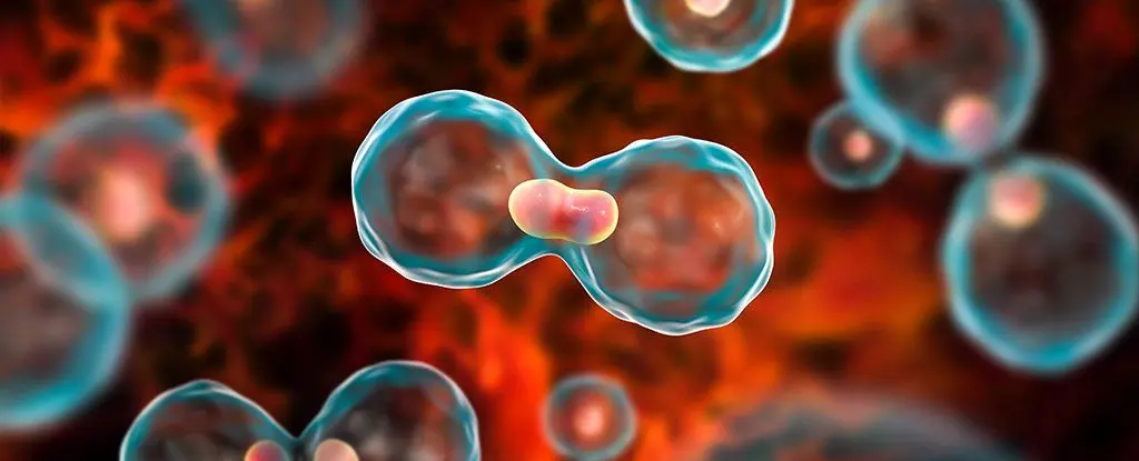 علائم اولیه سرطان که سال ها قبل از شناسایی بیماری خود را نشان می دهند