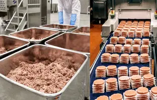 (ویدئو) گوشت گیاهی چگونه ساخته می شود؟