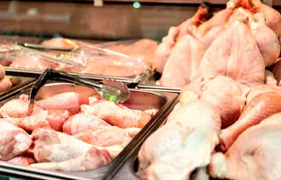 قیمت گوشت مرغ، امروز سه شنبه ۱۹ تیر ۱۴۰۳