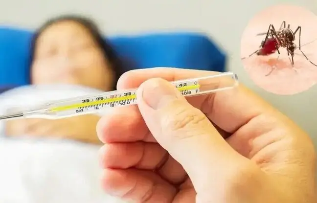 ۷ توصیه‌ کلیدی در مقابله با پشه آئدس و تب دنگی