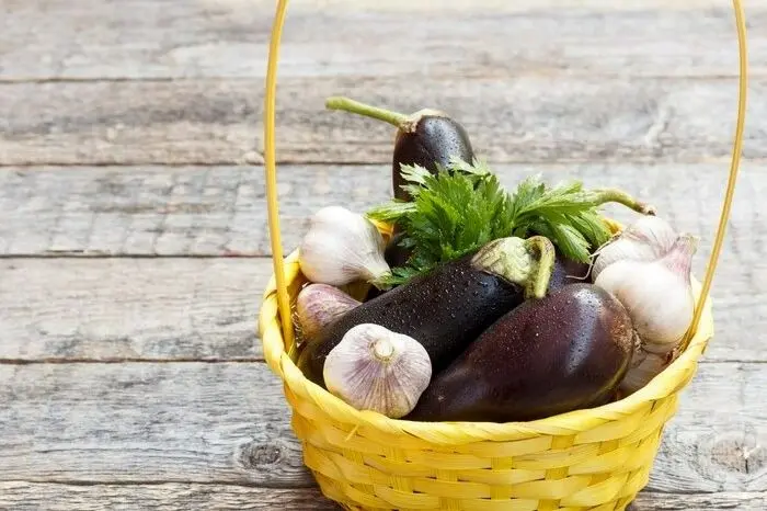 طعم جدید بادمجان با پاتلیجان چولاما: غذای رژیمی و خوشمزه بدون گوشت