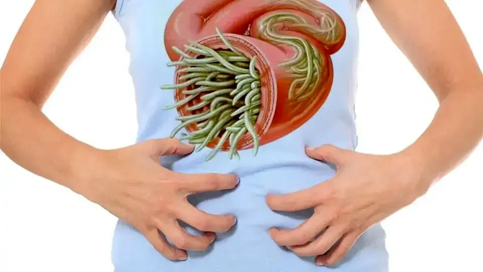 درمان های خانگی انگل روده