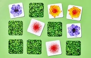 ۷ راه علمی برای تقویت حافظه