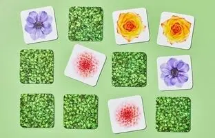 ۷ راه علمی برای تقویت حافظه
