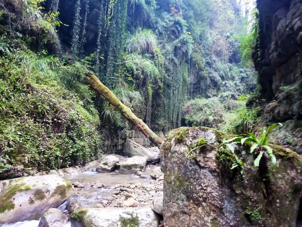 تنگه نارنج بن نوشهر؛ سفری خیال انگیز و خنک به سرزمین آواتار