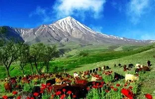خرماپزون سفر کجا بریم؟ 8 پیشنهاد متفاوت و خنک
