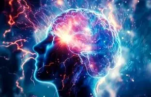 قسمتی از مغز ما هنگام بیداری چرت می‌زند و وقتی می‌خوابیم بیدار است!