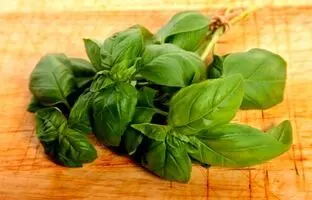 بهترین زمان کاشت سبزی خوردن در داخل و بیرون خانه