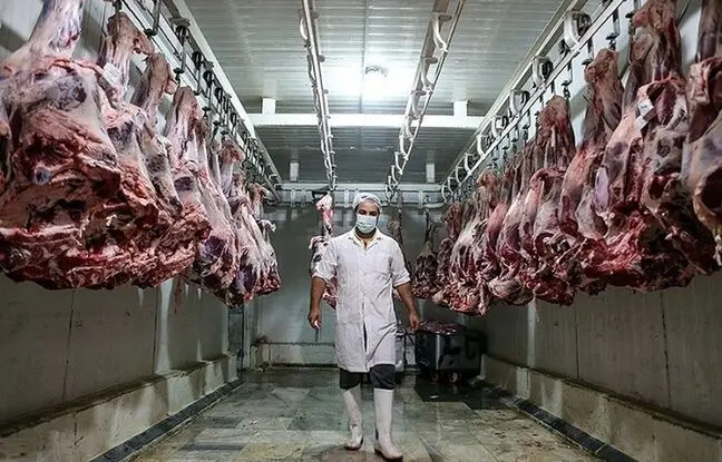 قیمت گوشت قرمز، امروز چهارشنبه ۳ مرداد ۱۴۰۳