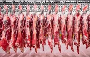 قیمت گوشت قرمز، امروز چهارشنبه ۱۷ مرداد ۱۴۰۳