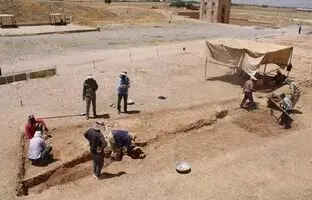 باستان‌ شناسان چرا سراغ «نقش رستم» رفته‌اند؟