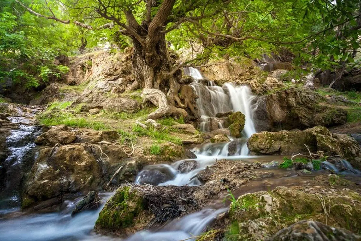 (تصاویر) تابستان کجا بریم خنک باشد ؟ / ۱۰ منطقه خنک تهران برای سفر یک روزه در تابستان