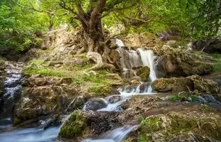 (تصاویر) تابستان کجا بریم خنک باشد ؟ / ۱۰ منطقه خنک تهران برای سفر یک روزه در تابستان