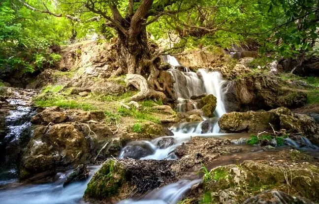 (تصاویر) تابستان کجا بریم خنک باشد ؟ / ۱۰ منطقه خنک تهران برای سفر یک روزه در تابستان