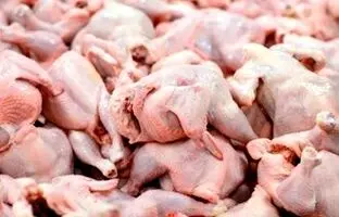 قیمت گوشت مرغ، امروز شنبه ۲۰ مرداد ۱۴۰۳
