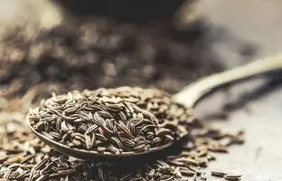 خواص زیره سیاه و سبز که از آن بی خبر هستید!