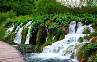 آغوشی خنک در دل طبیعت: آبشارهای شیراز در انتظار شما