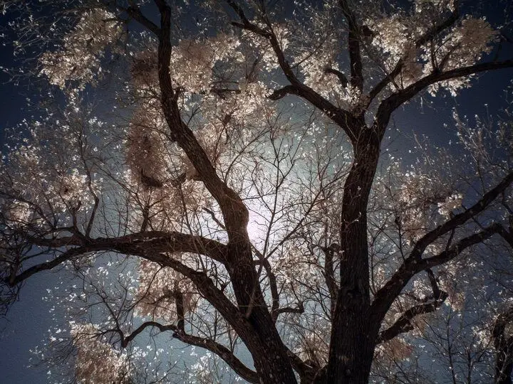 (تصویر) پرجمعیت‌ترین خانه جهان ۱,۰۰۰,۰۰۰,۰۰۰,۰۰۰ مهمان دارد